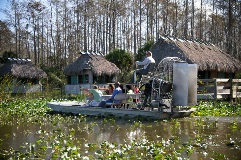 Swamp Safari 1