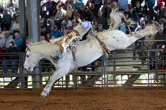 Fred Smith Rodeo Arena